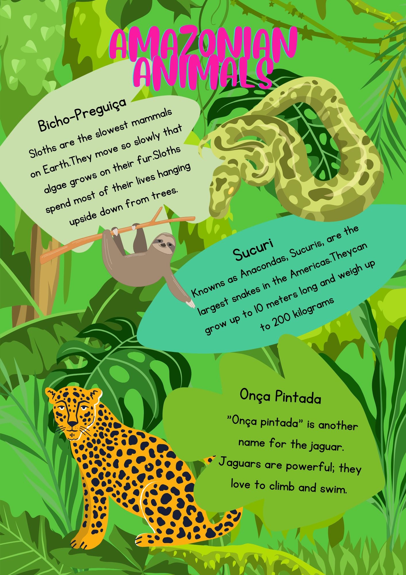 Discover Brazil - Ebook - Stories & Activities