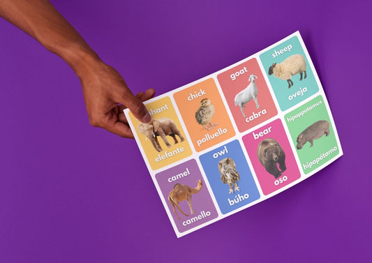 Flashcards - Bilingual English | Spanish